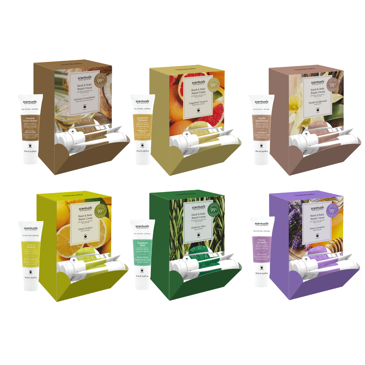 Coconut Cocoa Butter Hand Repair Cream 20ml (Display of 24)