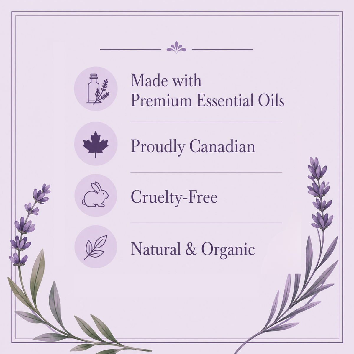 SC Lavender Fields Collection Prepack