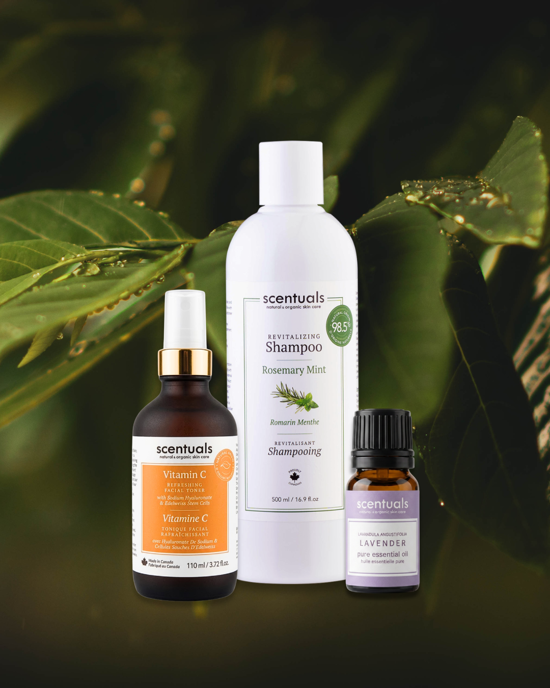 Scentuals Natural & Organic Skin Care