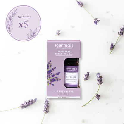 SC Lavender Fields Collection Prepack