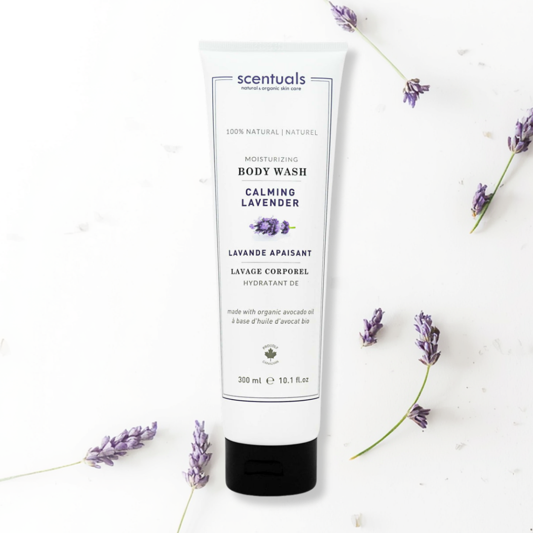 SC Lavender Fields Collection Prepack