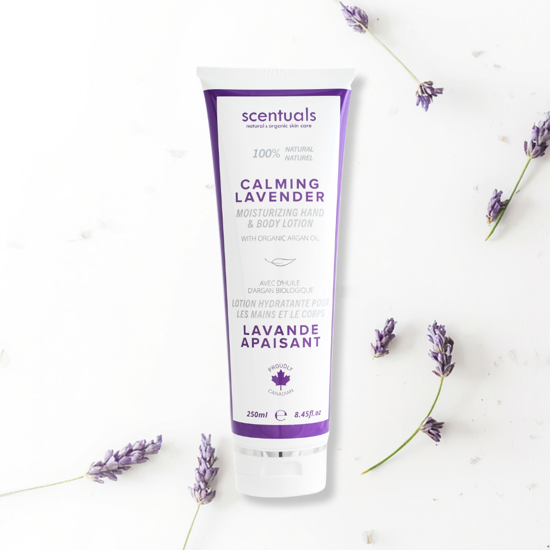 SC Lavender Fields Collection Prepack
