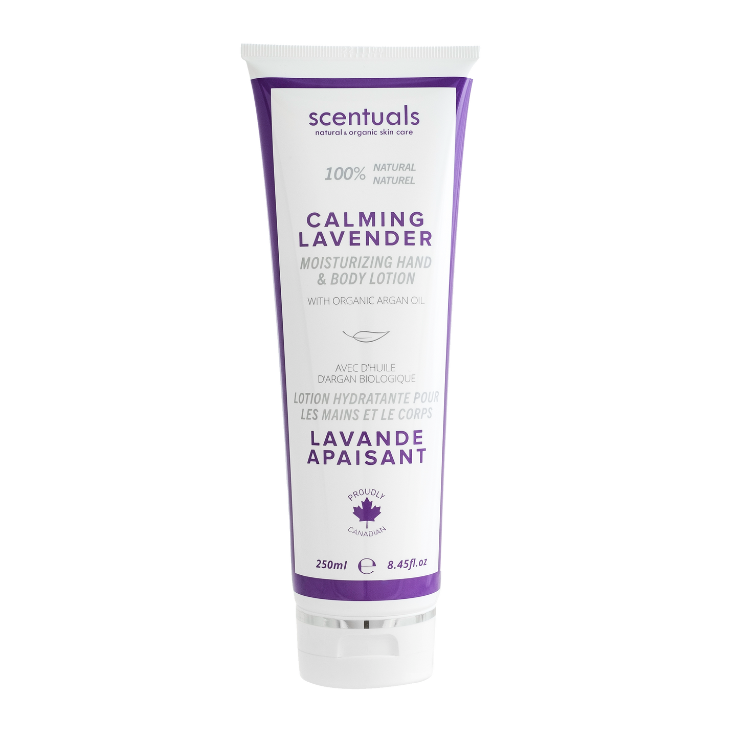 Lavender Fields Collection Prepack - 27 Units