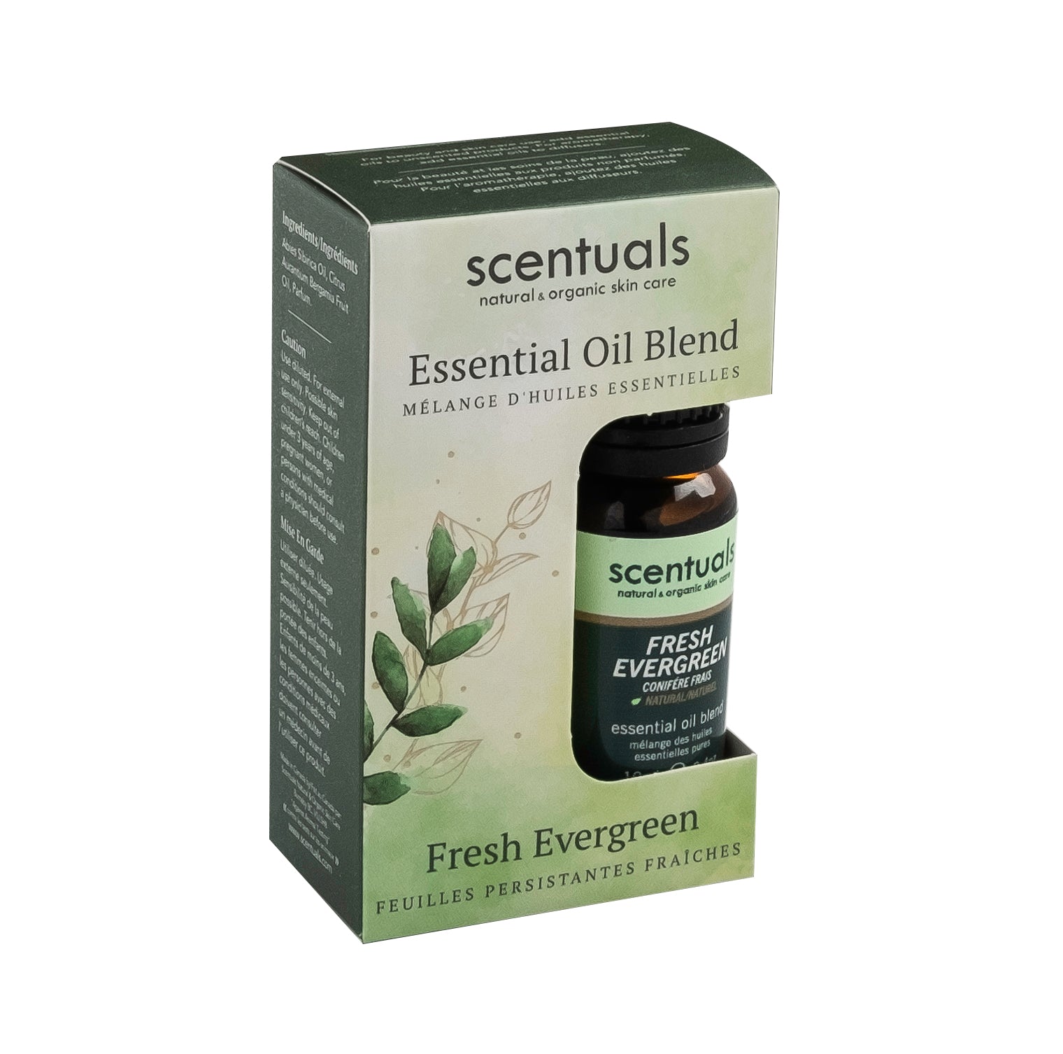 Fresh Evergreen Essential Oil Blend (Boxed)