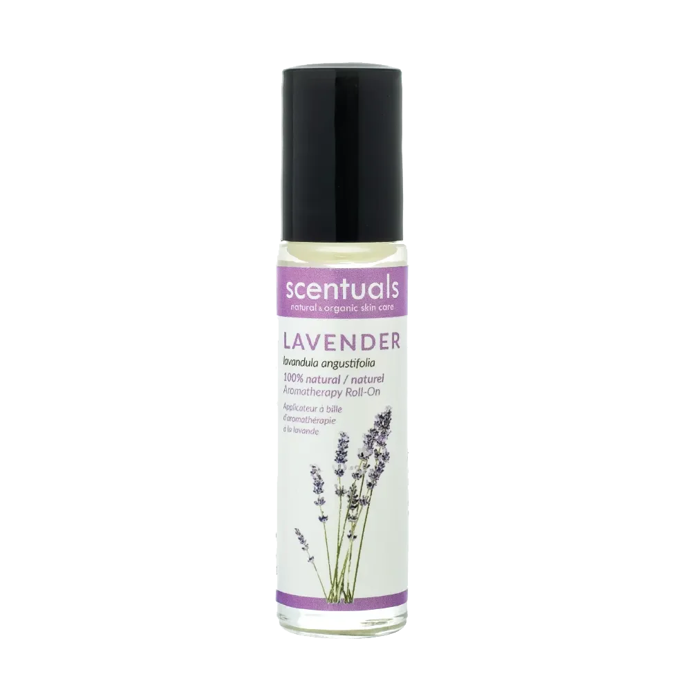 Lavender Fields Collection Prepack - 27 Units