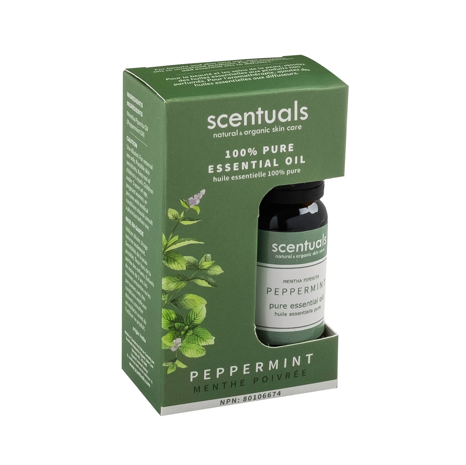 Peppermint Essential Oil (Boxed)