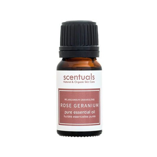 Rose Geranium Luxury Essential Oil