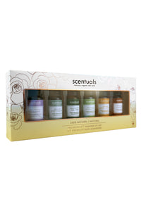 Set of Scentuals' essential oils in a decorative box on a white background