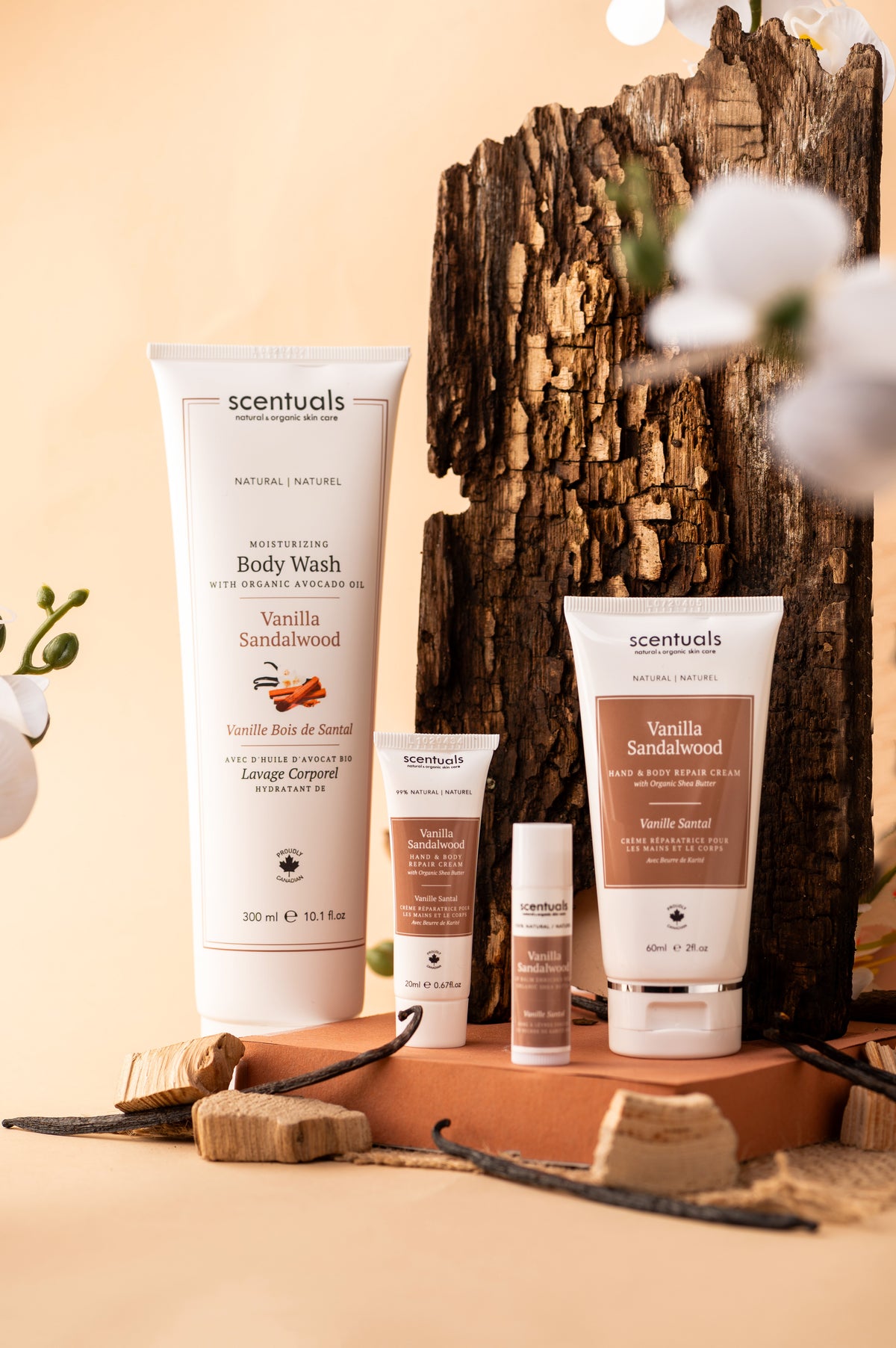 Curated for Corporate Excellence