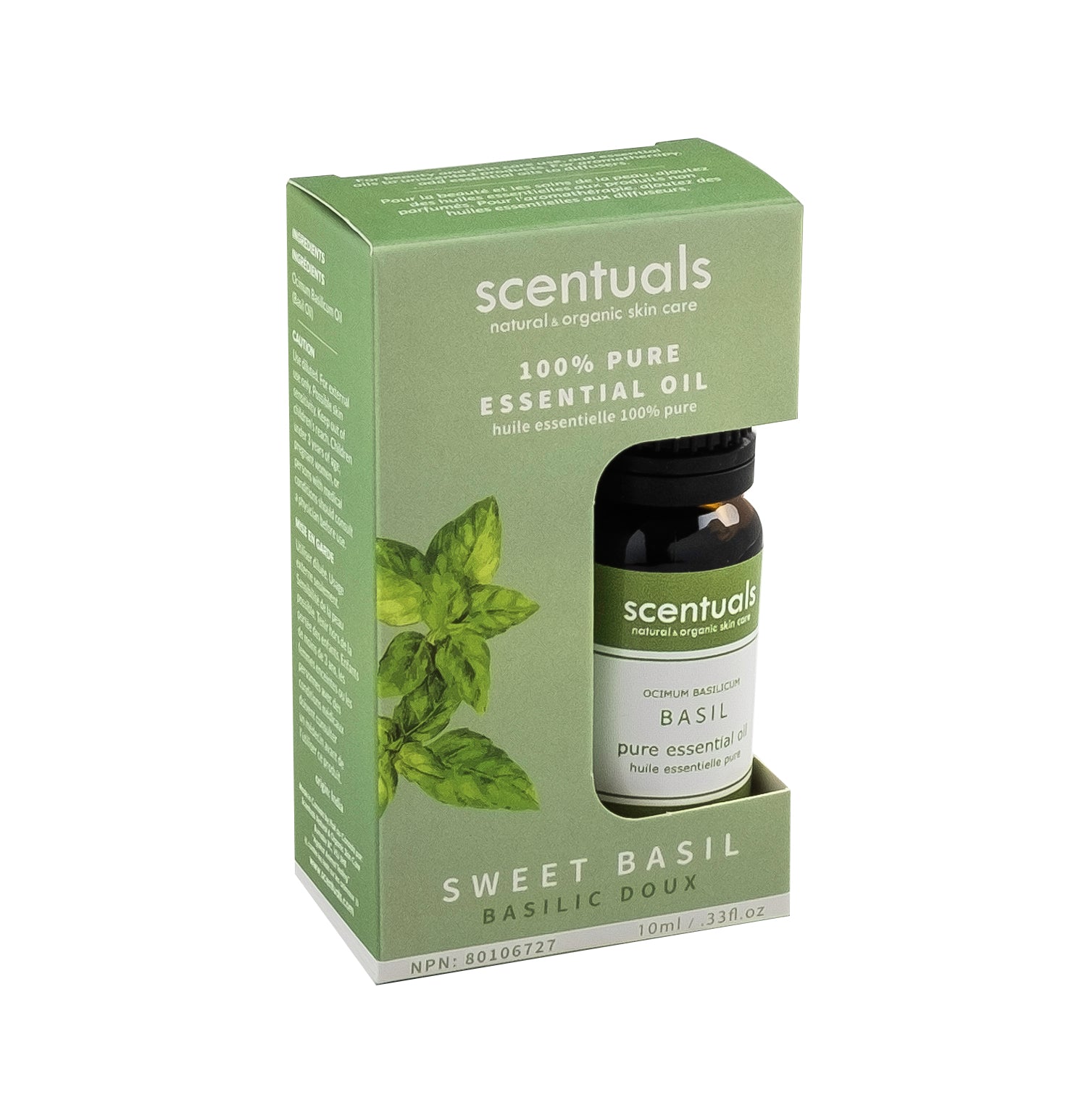 Sweet Basil Essential Oil (Boxed)