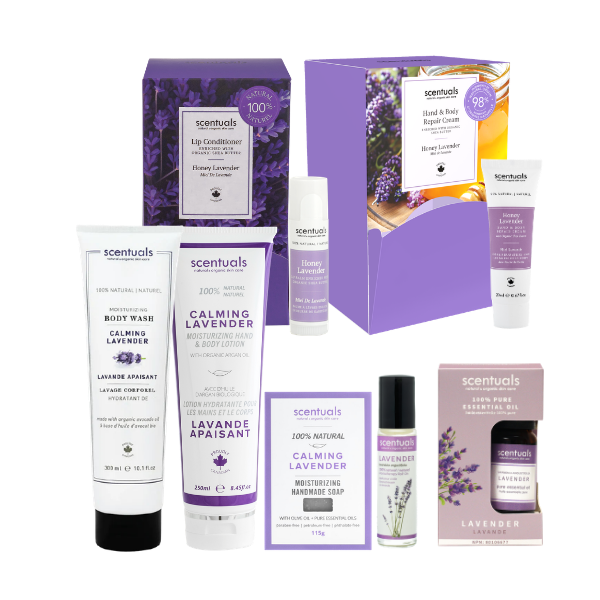 Lavender Fields Collection Prepack - 27 Units